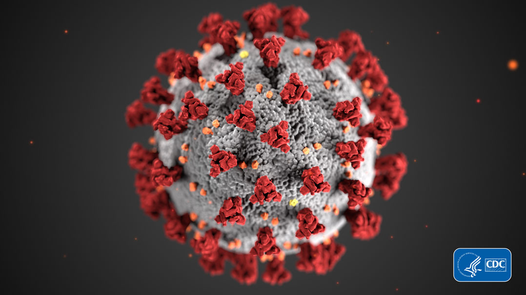 Coronavirus Disease 2019